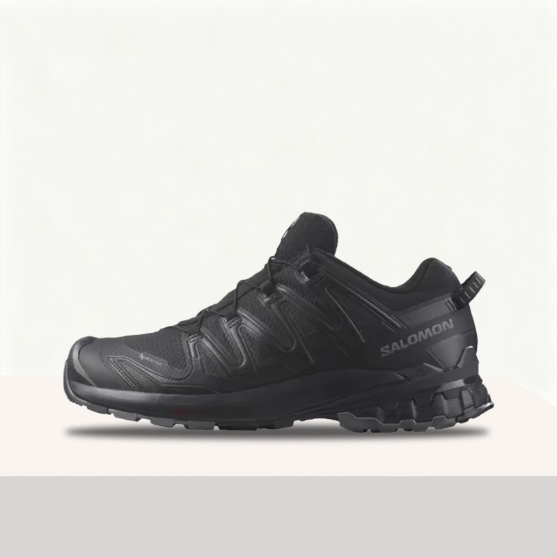 Salomon XA Pro 3D V9 GTX: Styl - Salomon Shoes Xa Pro 3D 评论和价格
